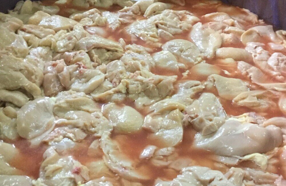 IPPE 2025 First Image Co2 Yield