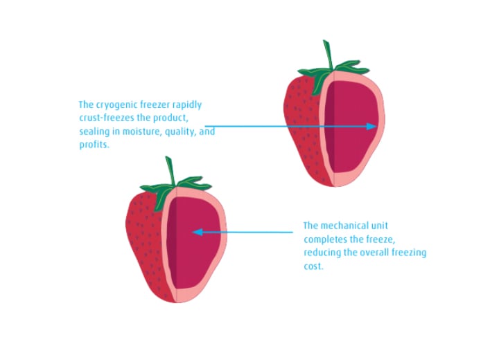 Messer CRYOASSIST to Mechanical Freezing