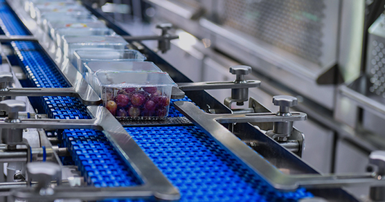 fruit-vegetables-chilling