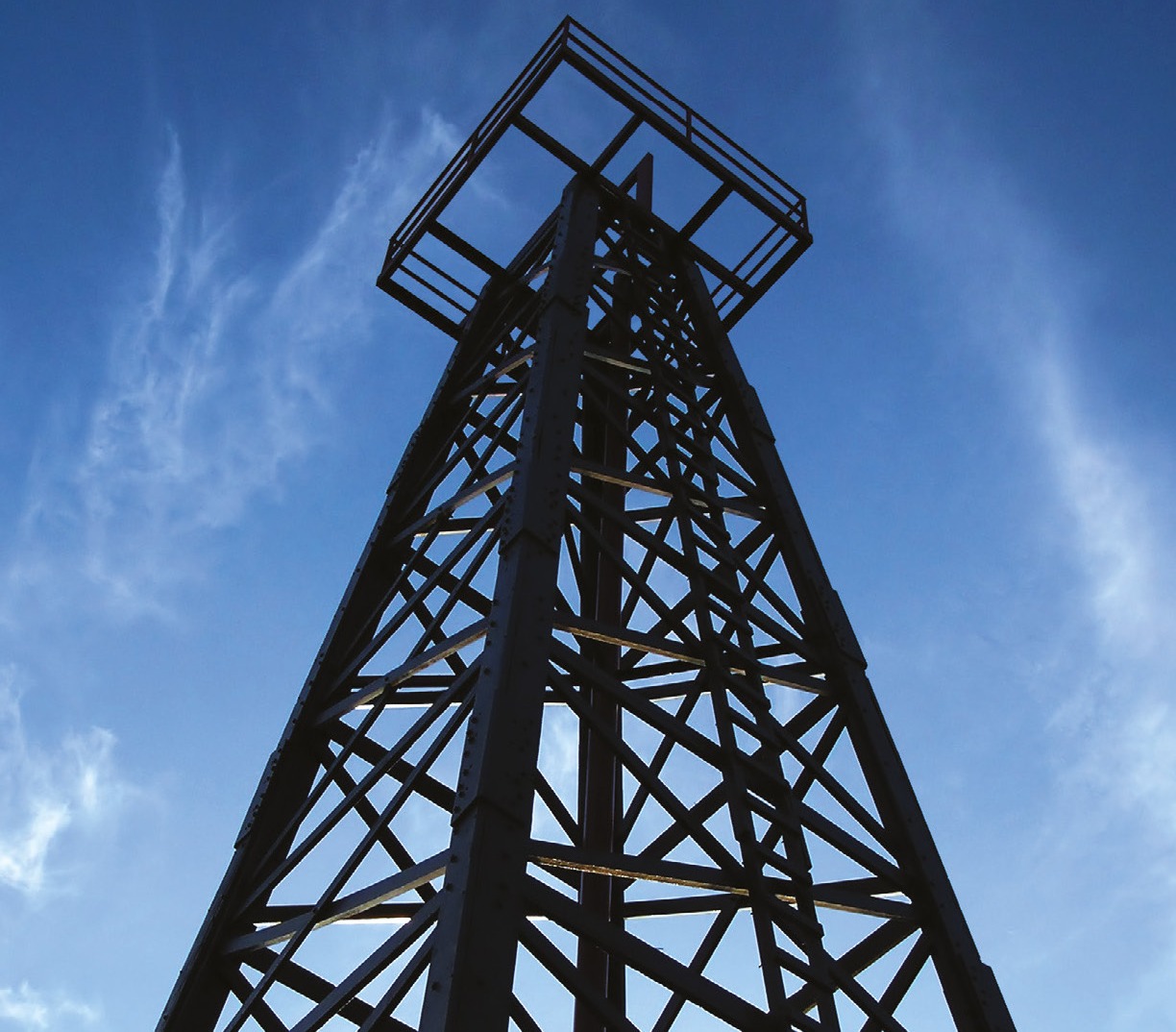 Services for Enhancing Hydrocarbon Productivity